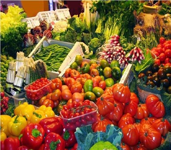 culuk-polit-2-analit